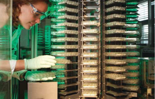 Ricercatrice in un laboratorio di ricerca agrochimica
