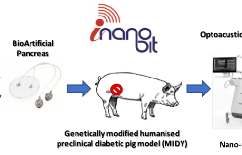 Schema illustrativo progetto iNanoBIT