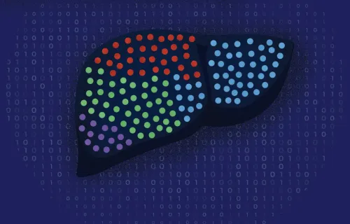 Illustrazione di un fegato con codice binario