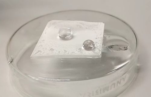 Foto di un campione di laboratorio