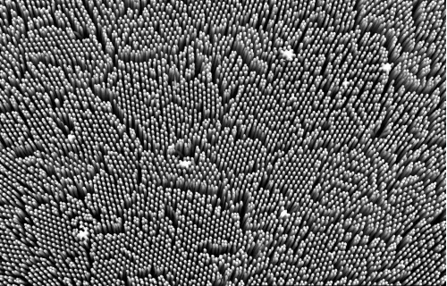 Immagine del silicio visto al microscopio