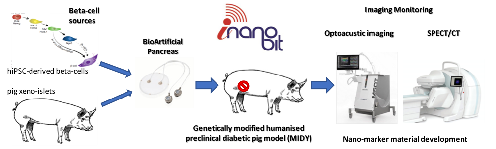 Schema illustrativo progetto iNanoBIT