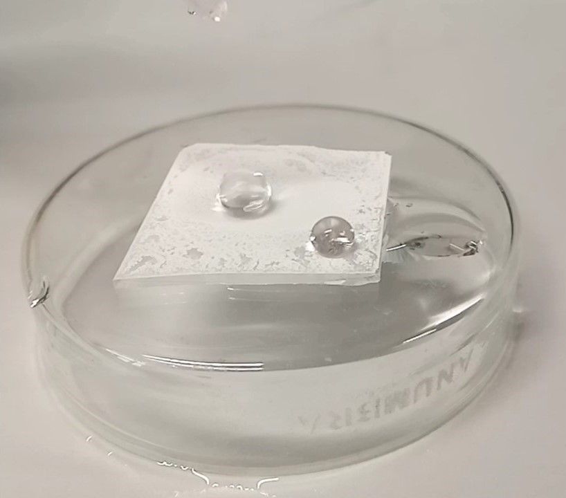 Foto di un campione di laboratorio