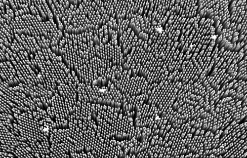 Immagine del silicio visto al microscopio